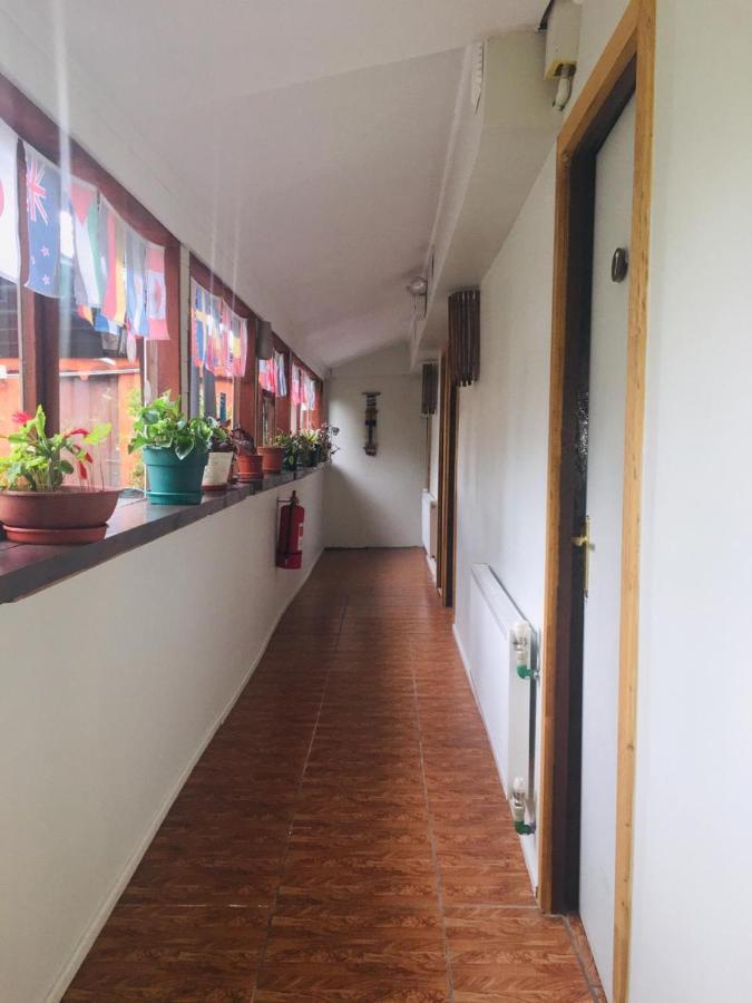 Pucón Hospedaje Irma Backpackers المظهر الخارجي الصورة